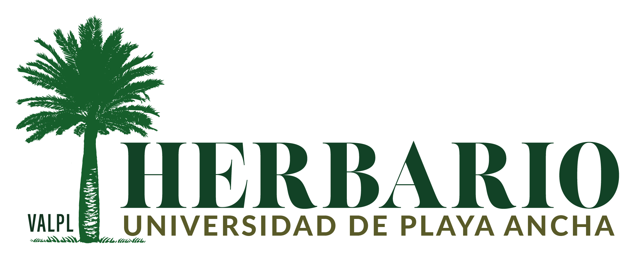 main_logo